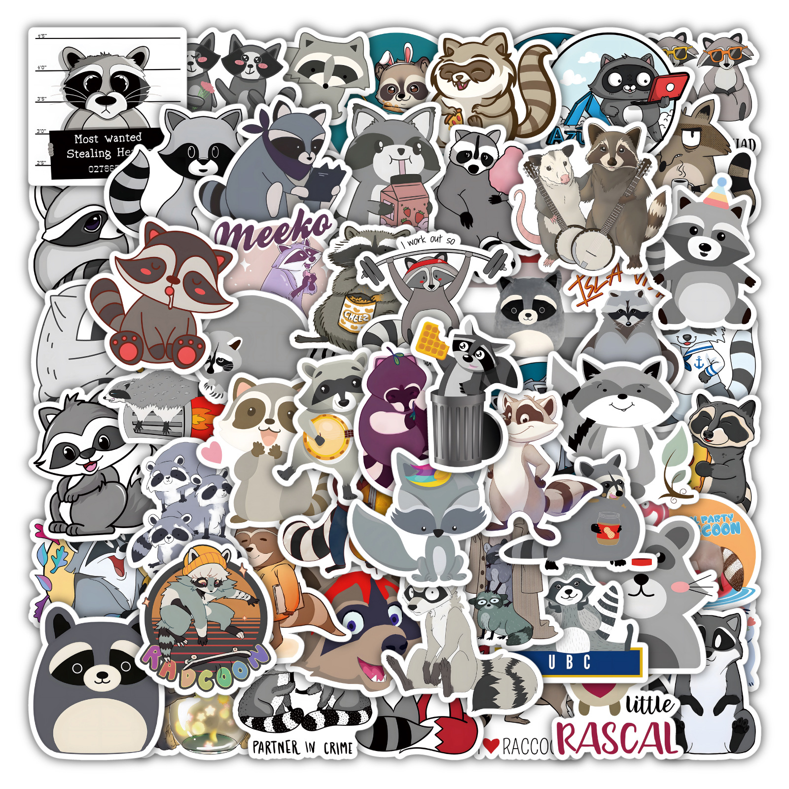 Cute Raccoon - Sticker