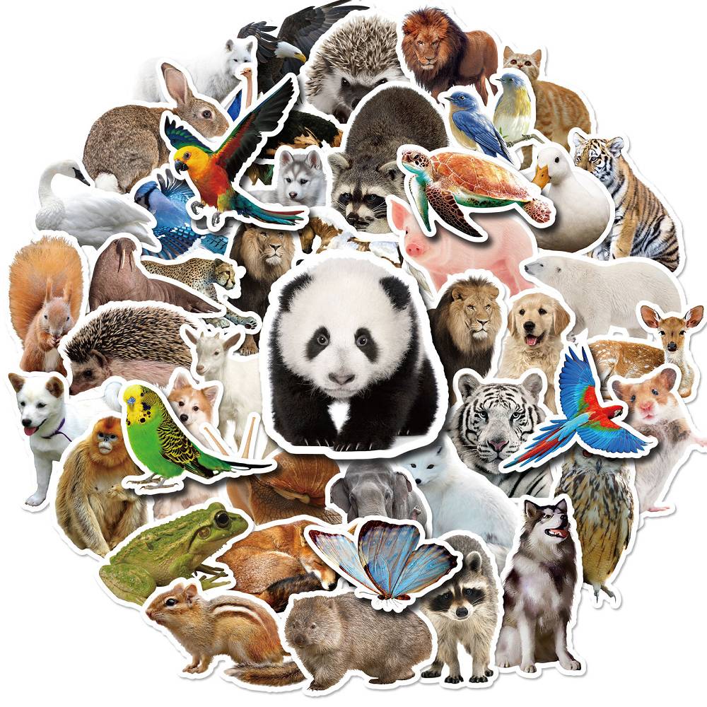 50 animal realistic stickers Amazon hot selling animal graffiti stickers do not repeat waterproof car stickers new