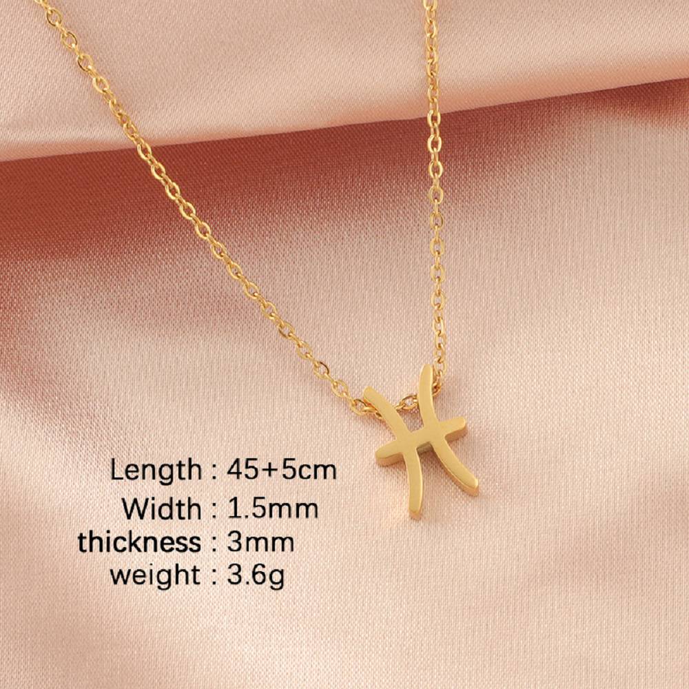 Stainless Steel Zodiac Guardian Constellation Pendant Necklace