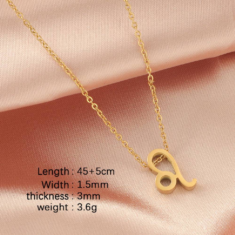 Stainless Steel Zodiac Guardian Constellation Pendant Necklace