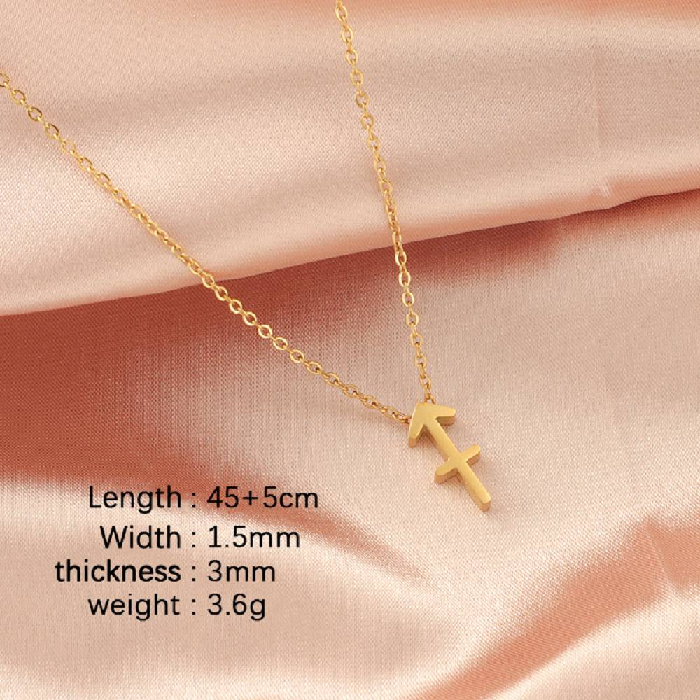 Stainless Steel Zodiac Guardian Constellation Pendant Necklace